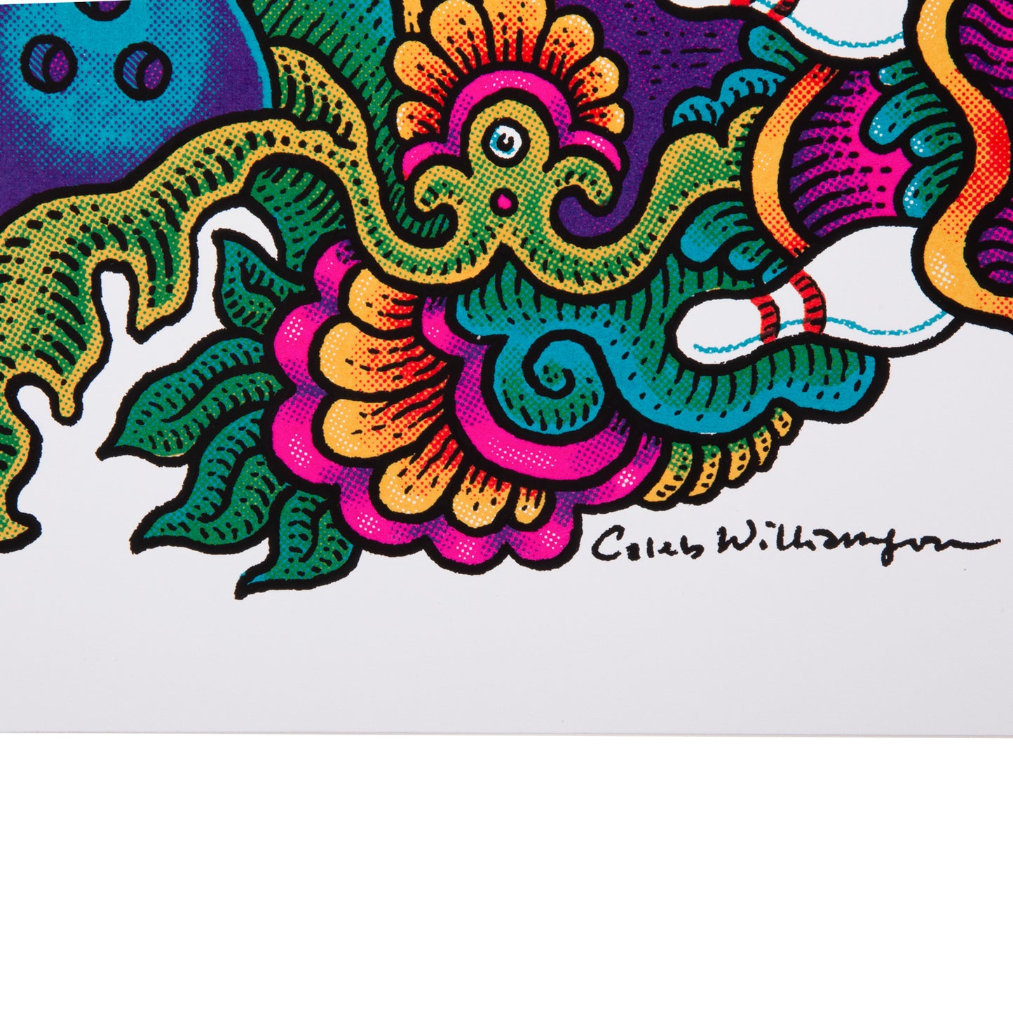 Philadelphia Brooklyn Bowl 2022 by Caleb Williamson