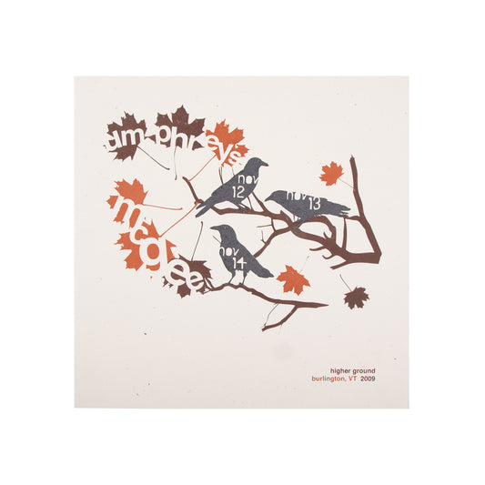 Higher Ground Burlington, VT 2009 Poster