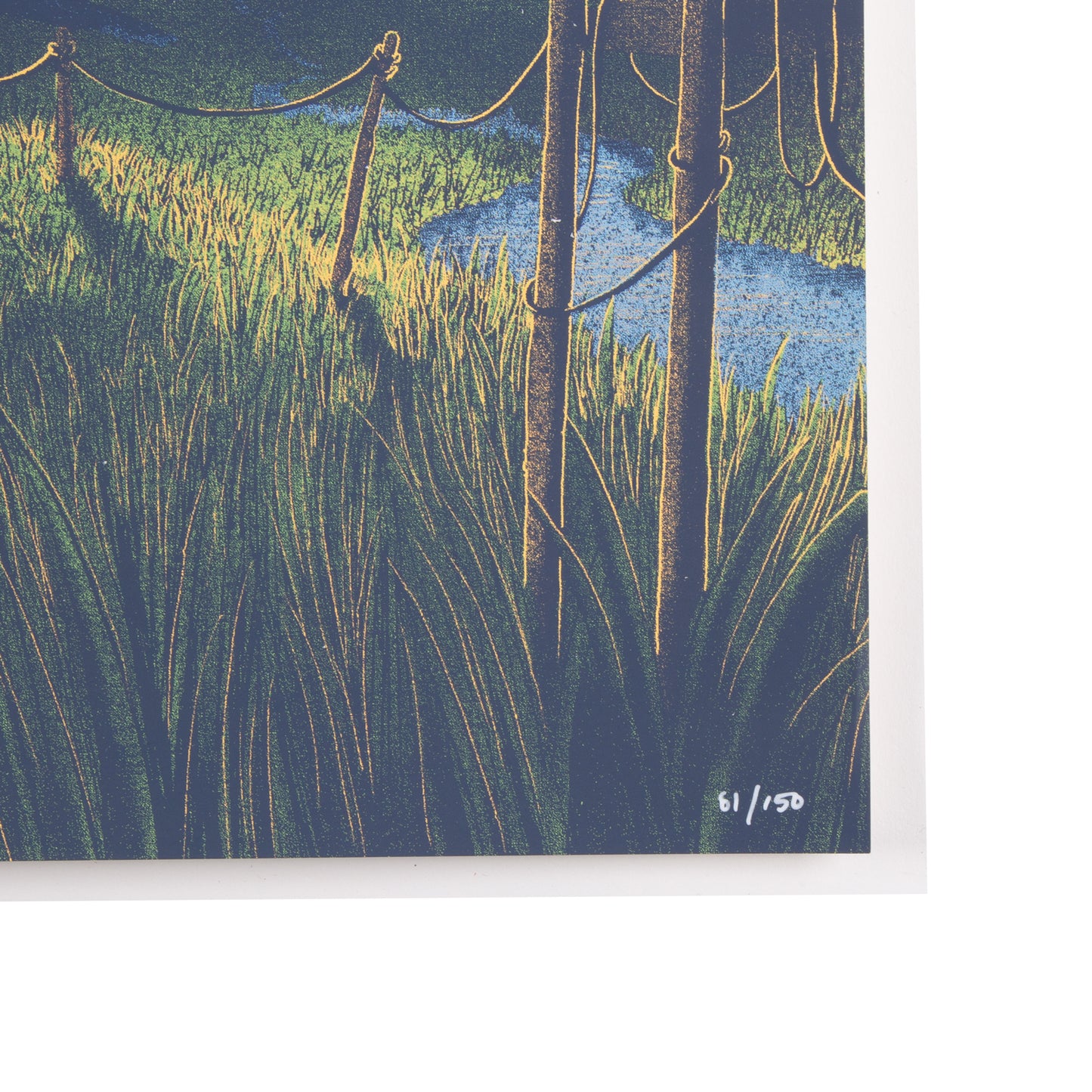 Baily Race Montana Poster