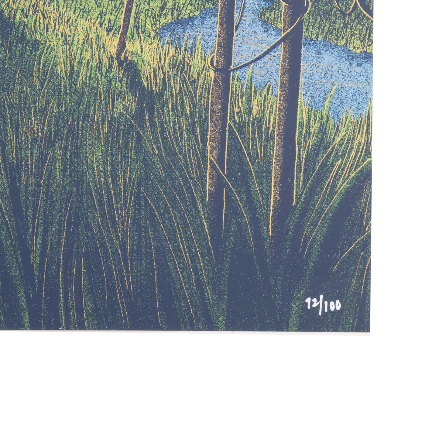 Baily Race Montana Poster