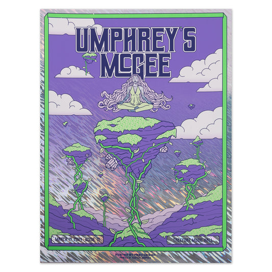 Boise, ID 2024 Poster by Wren Breen