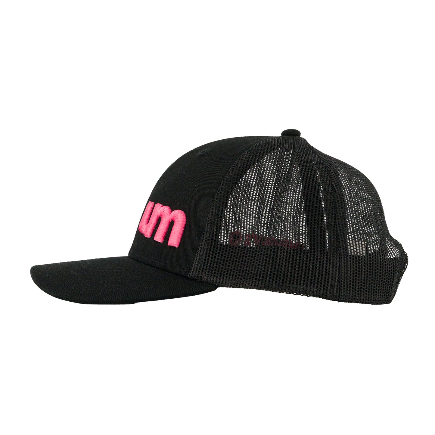 Rock The Pink Snapback Hat