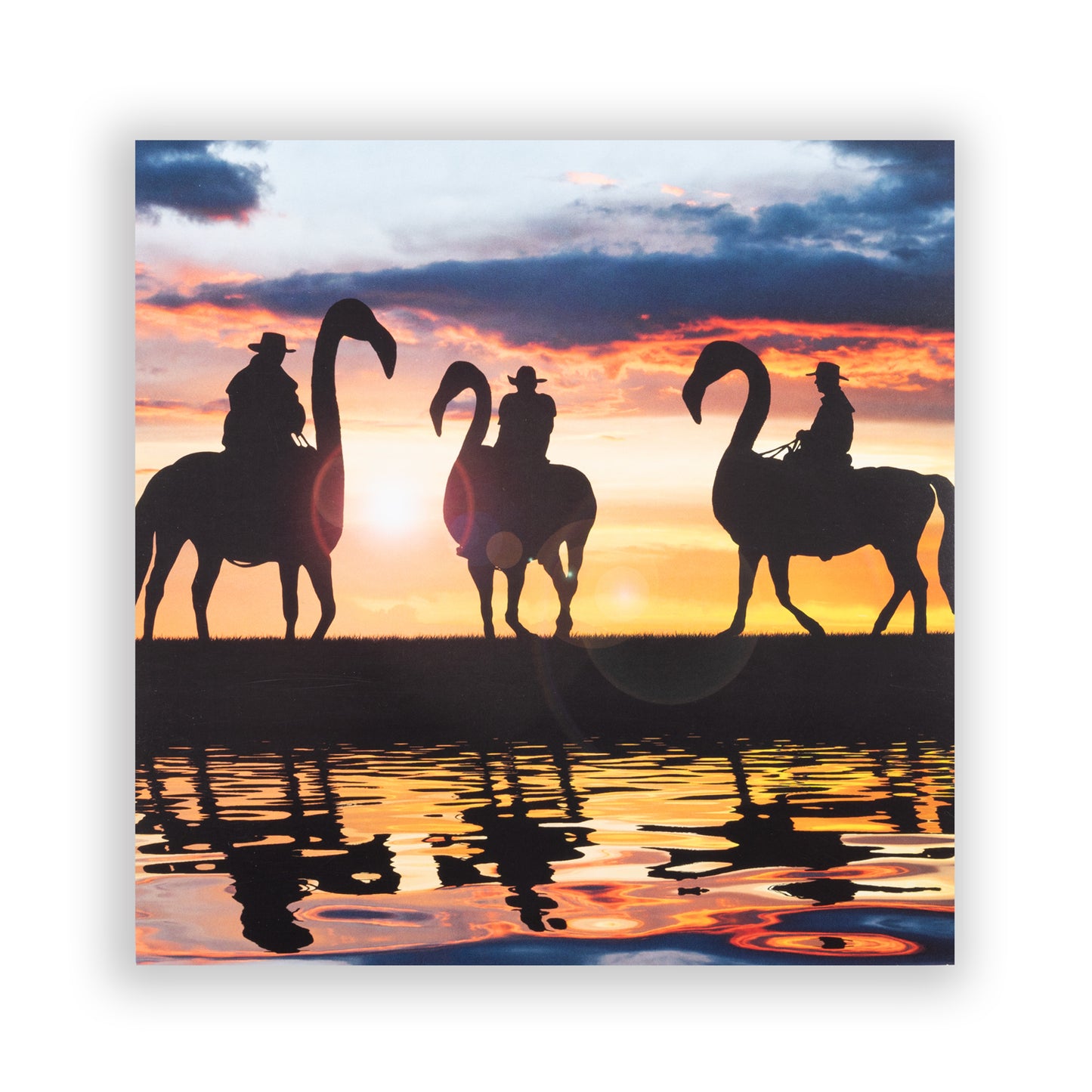 Zonkey Pink Double LP