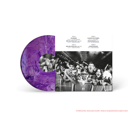 Hall of Fame: Class of 2024- Double LP Purple Swirl Variant